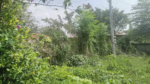 Open photo 18 of 21 — 2 Lots for Sale in Lacap Subd., Gensan