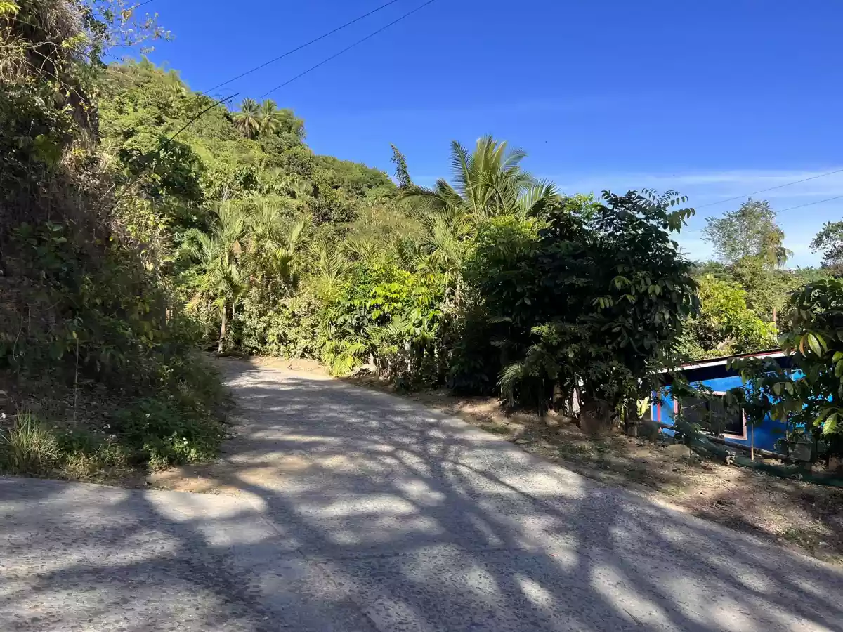 Lot for Sale in Lanipga Consolacion, Cebu — Agricultural Lot in Cebu, Philippines — Photo 5
