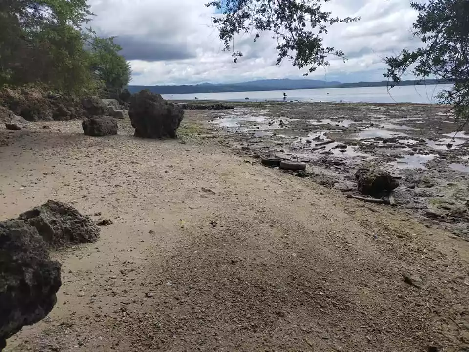 776sqm beachfront lot for sale in Pangangan Island Calape Bohol 4k per sqm - photo 6