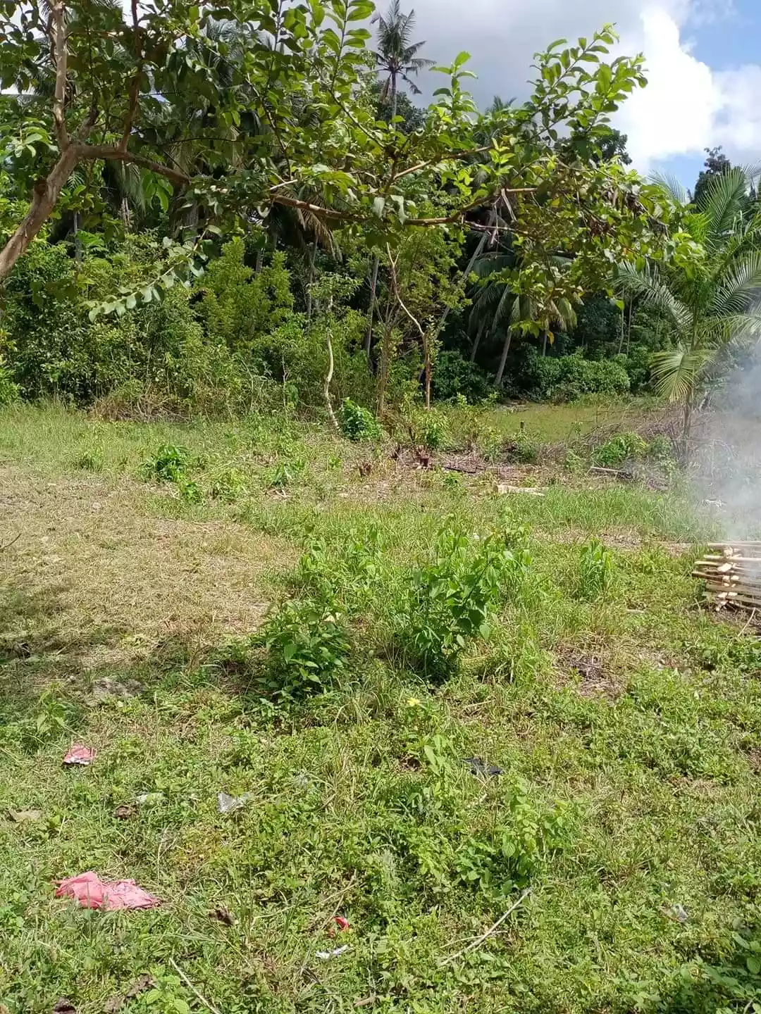 Titled Lot for Sale - photo 3