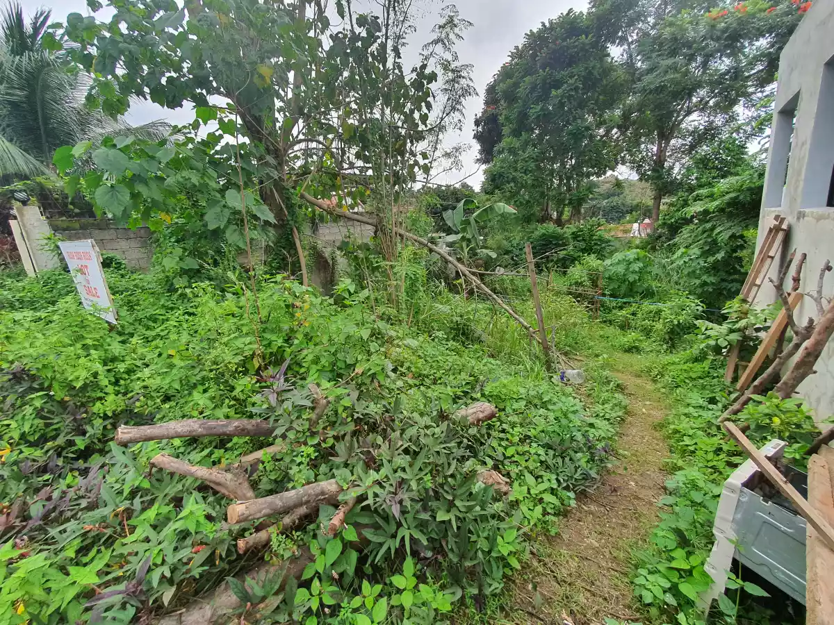 121 sqm Lot only in Montana Vista - photo 4