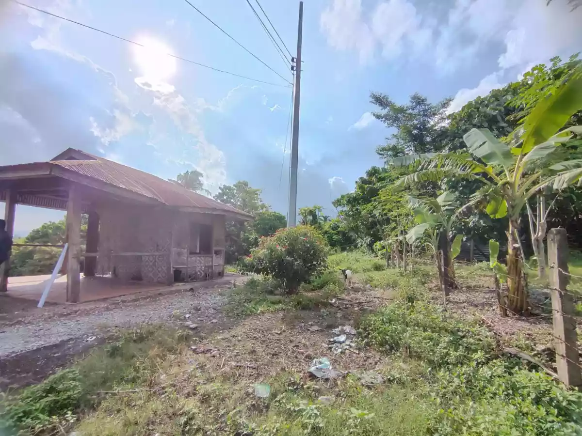Open photo 13 of 14 — FOR SALE Lot in Tayud, Consolacion, Cebu