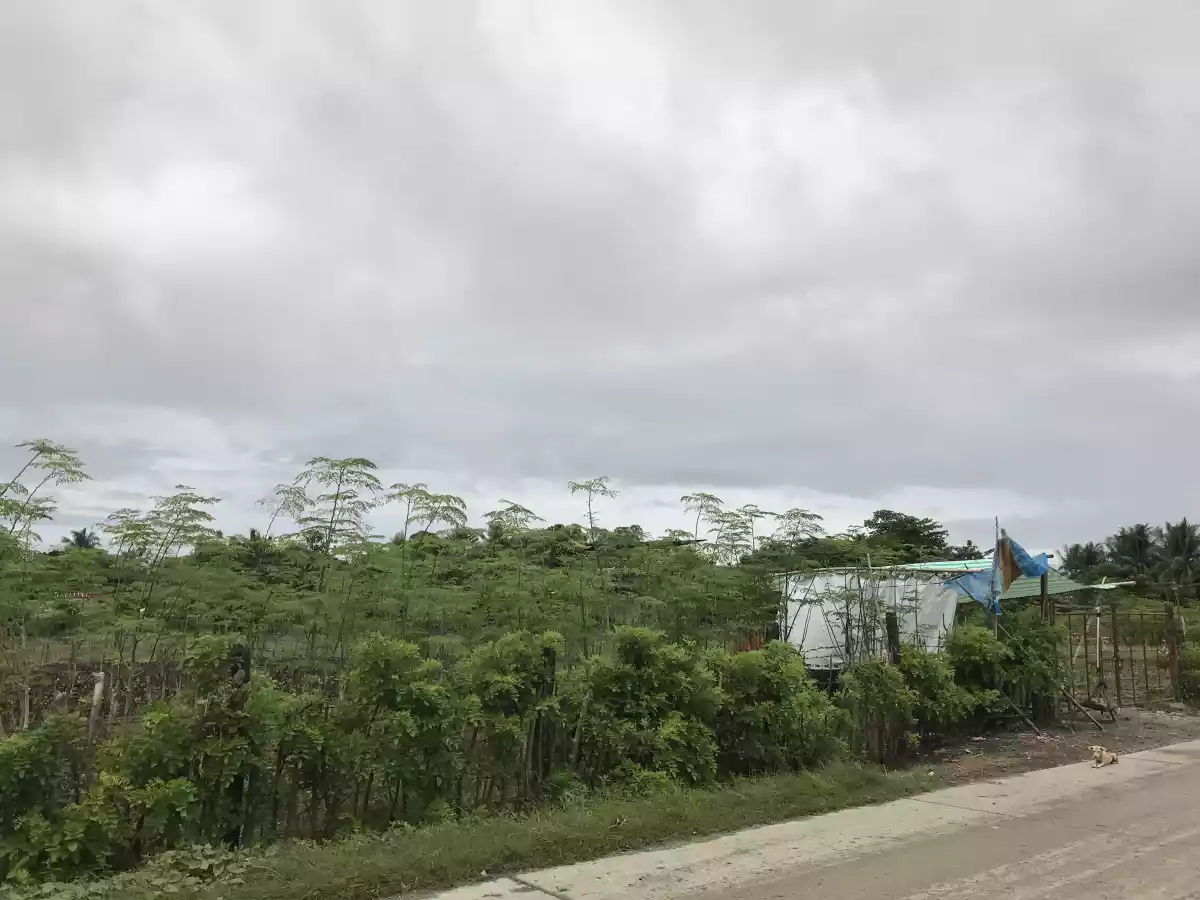ðŸ“£COMMERCIAL LOT FOR SALE - 5000SQM AREA ONLY!ðŸ“£
