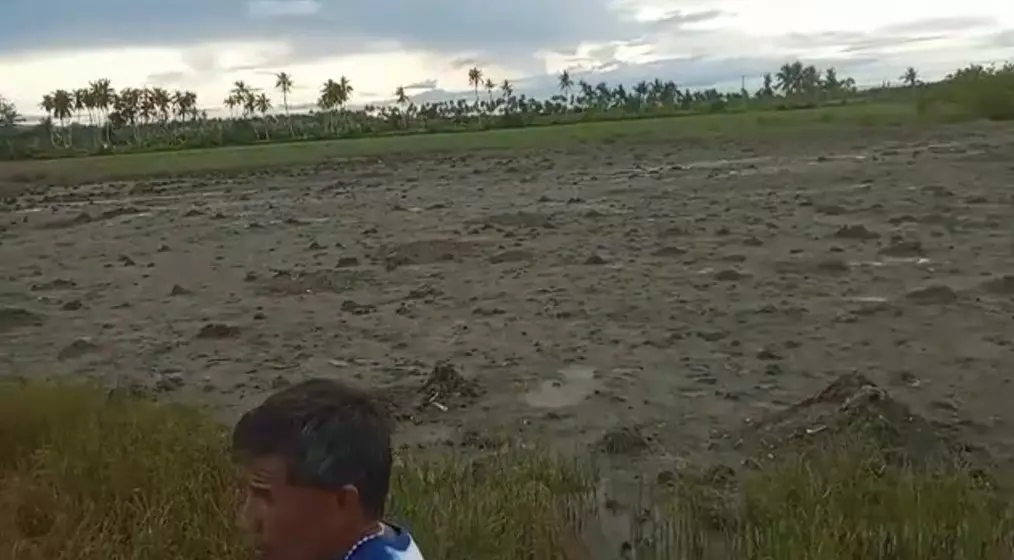Titled Land — Agricultural Lot in Tubigon, Bohol, Philippines — Photo 4