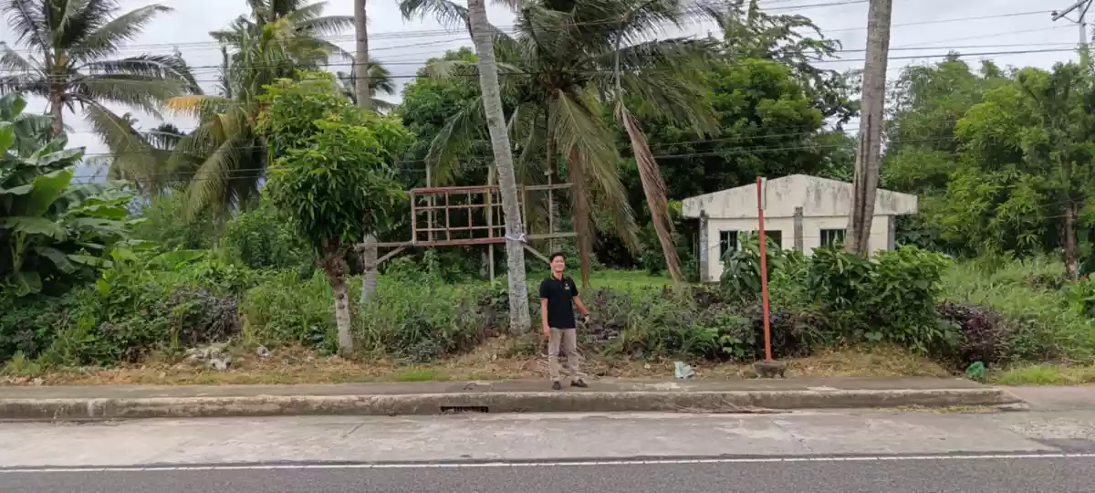 Prime Lot — Agricultural Lot in Camarines Sur, Philippines — Photo 7