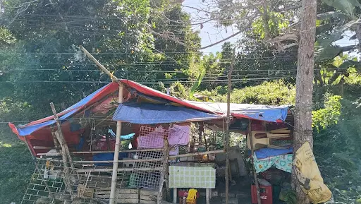 Agricultural lot for sale — Agricultural Lot in Cebu City, Cebu, Philippines — Photo 7