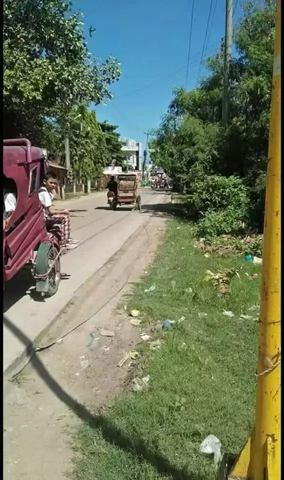 For Sale 2 Hectares Commercial Lot in Lapulapu - photo 4