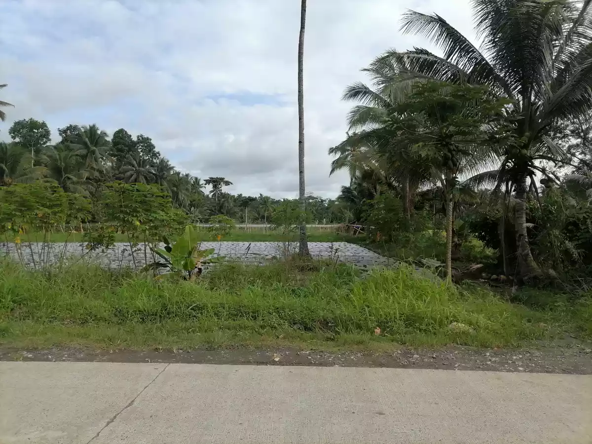 10 titled residential lot — Residential Lot in Agusan Del Norte, Philippines — Photo 6