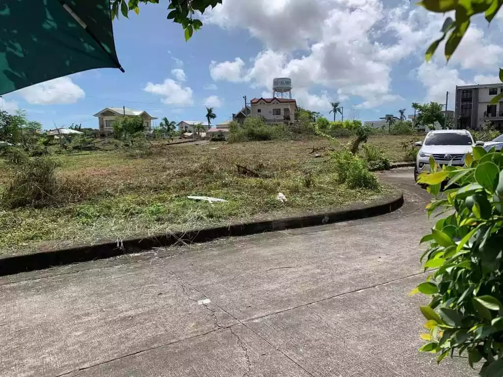LOT FOR SALE @ EL MONTE VERDE DE CEBU, CONSOLACION — Residential Lot in New Orleans Street, Lamac, Consolacion — Photo 3
