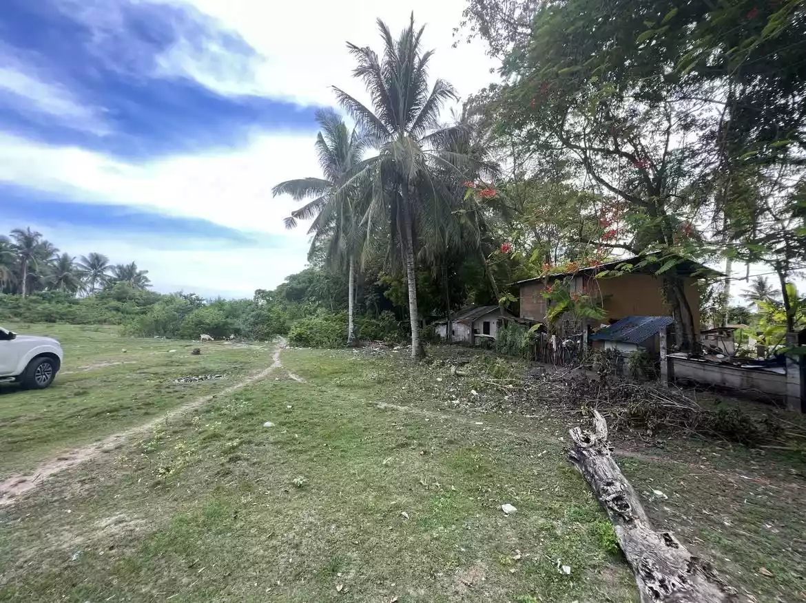 For Sale: Beach Lot (White Beach) - Panglao Bohol