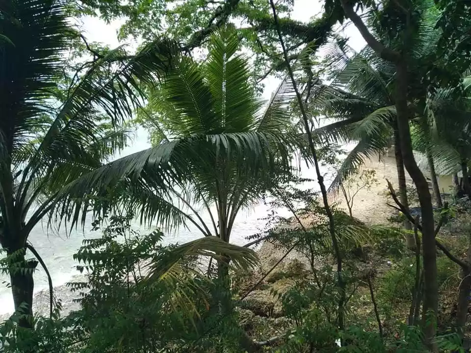 Beachlot