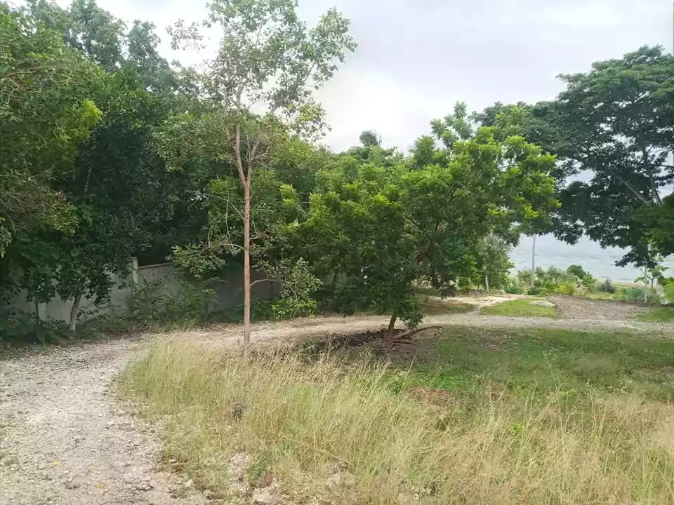 Beach lot for sale in Santander Cebu  - photo 2