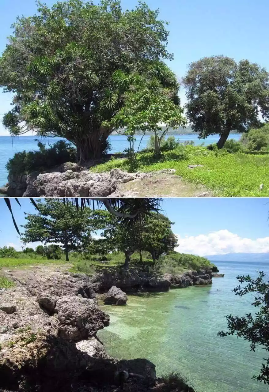 Moalboal Beach Lot for Sale - photo 2