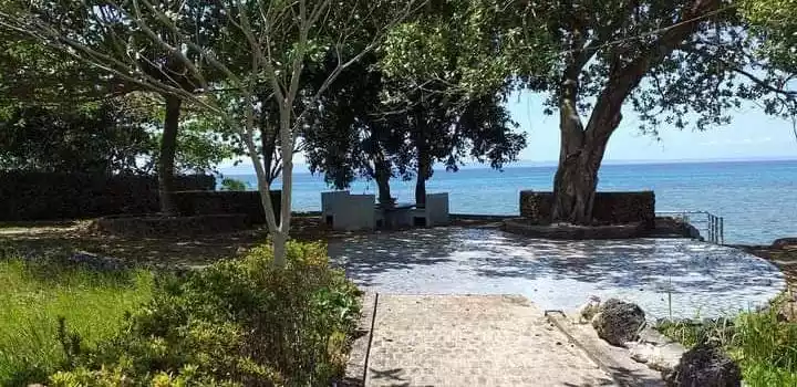 CAMOTES ISLAND BEACH LOT - photo 6