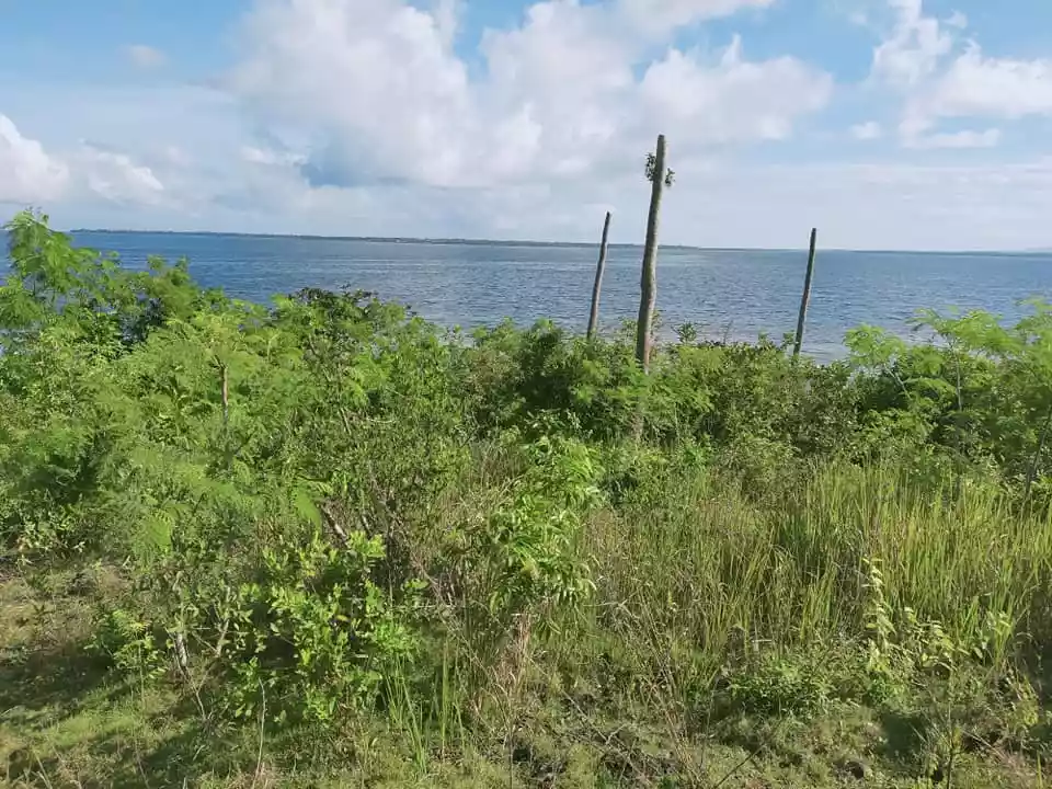 Beachfront 1,223sqm title lot for sale in Sandingan Island Loon Bohol 3k per sqm - photo 3