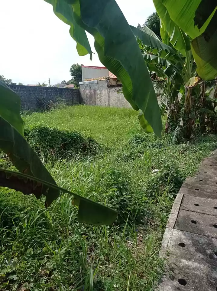 SUBDIVISION LOT FOR SALE: - photo 6