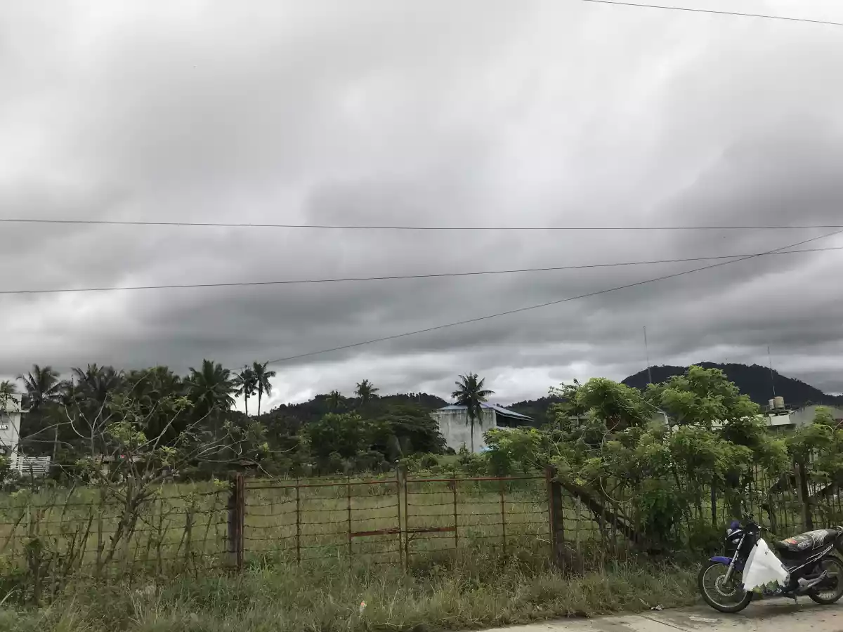 ðŸ“£COMMERCIAL LOT FOR SALE - 5000SQM AREA ONLY!ðŸ“£ - photo 3