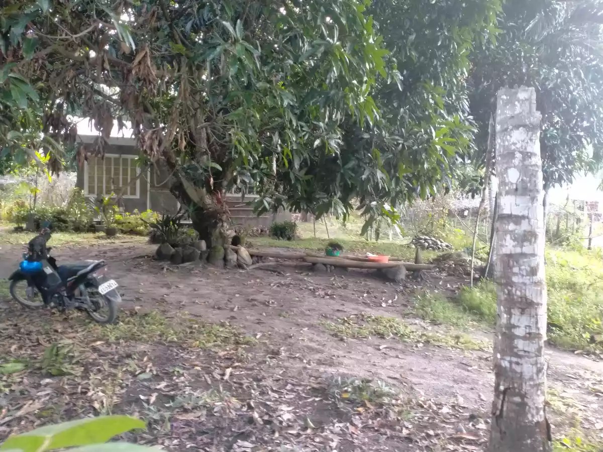 House and Lot For Sale in Banilad, Bacong, Negros Oriental — House and Lot in Dumaguete, Negros Oriental, Philippines — Photo 4