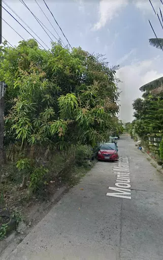 Rush for Sale Lot only at Villa Estefania Fortune Town Bacolod City — Residential Lot in Cebu City, 6000 Cebu, Philippines — Photo 3