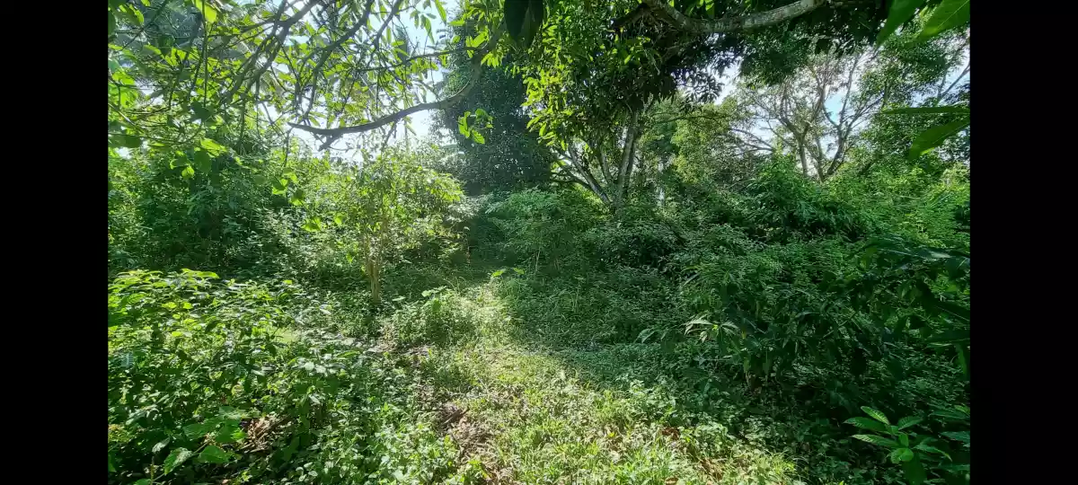 833 sqm Titled Commercial / Industrial Lot for Sale near Diversion road, Bulua, CDO - photo 4