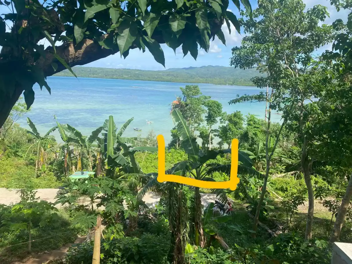 RUSH SALE â— BEACH LOT — Beach Lot in San Francisco, Cebu, Philippines — Photo 3