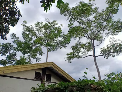 LOT WITH UNFINISH BUILDING — Residential Lot in Agusan Del Norte, Philippines — Photo 7