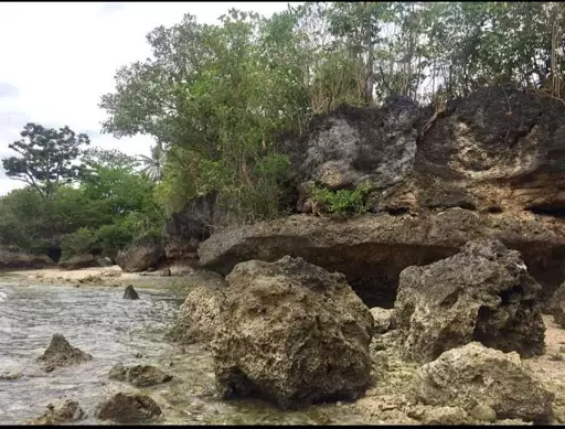 Beachlot for sale in oslob — Beach Lot in Cebu, Philippines — Photo 2