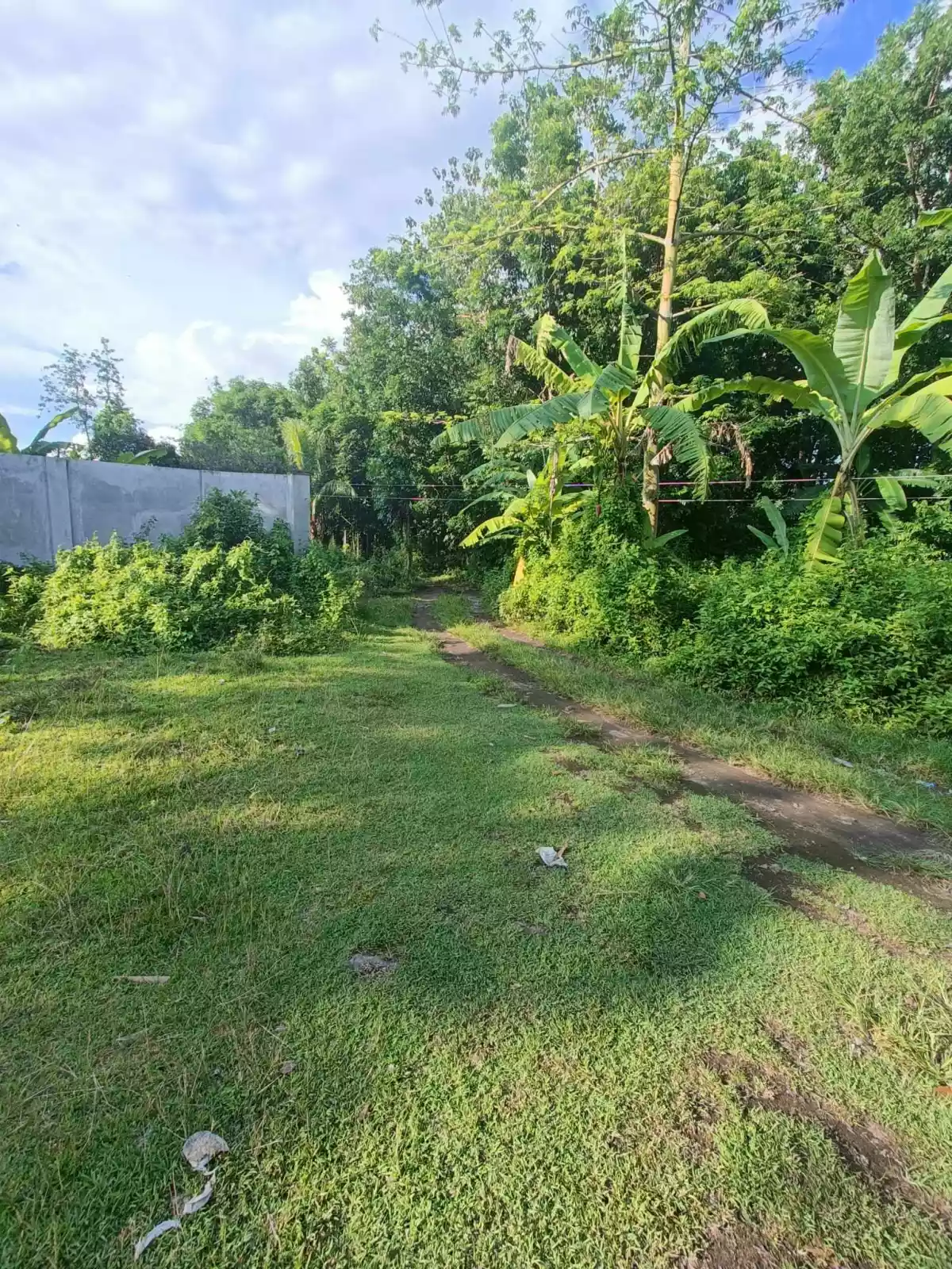 LOT FOR SALE — Residential Lot in Negros Oriental, Philippines — Photo 5