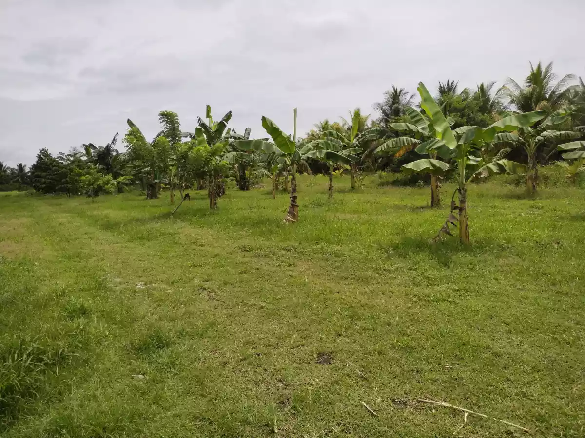 Peaceful community silway8 - photo 2