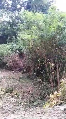 Open photo 13 of 13 — Lot in Greenville Heights