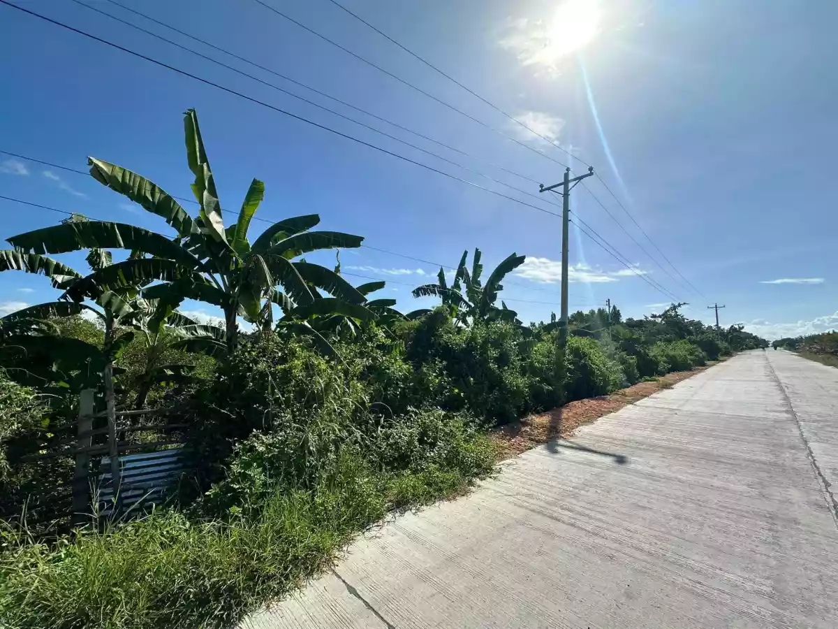 TCT No. 102-2012004090 — Agricultural Lot in Carcar City, Cebu, Philippines — Photo 3