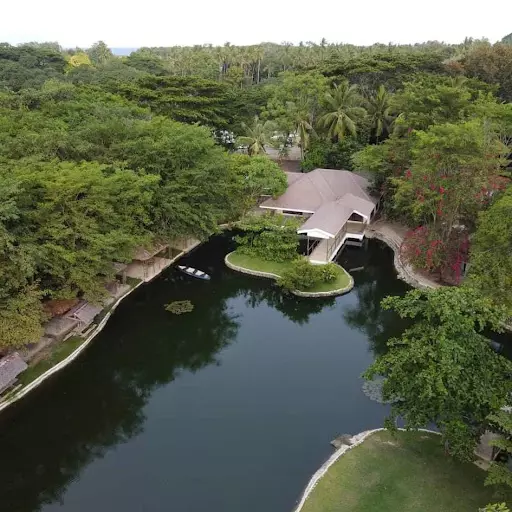 Income Generating Nature's Park in Magay, Compostela — Agricultural Lot in Compostela, Cebu, Philippines — Photo 6