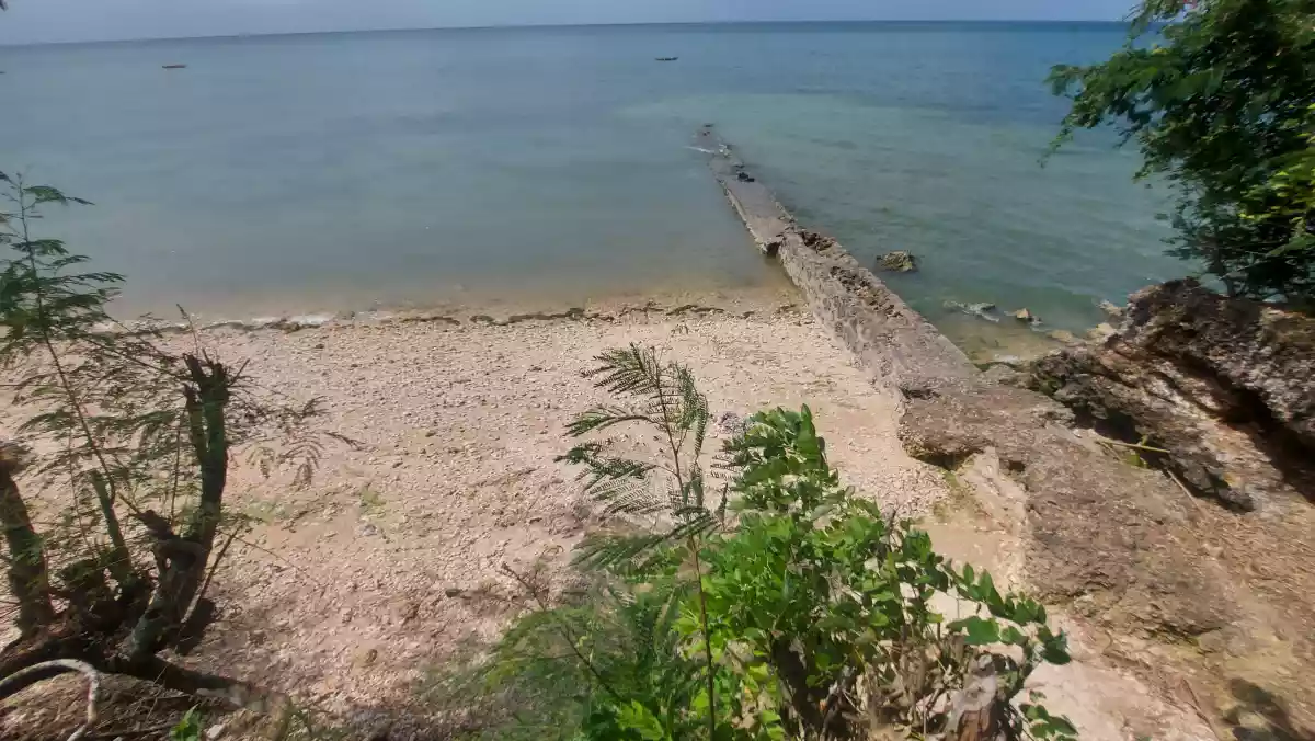 Beachlot for sale — Beach Lot in San Remigio, Cebu, Philippines — Photo 2