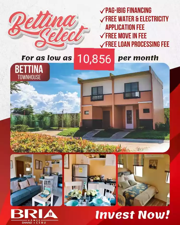 Bria Homes Danao (Pre selling) — Townhouse in Danao City, Cebu, Philippines — Photo 3