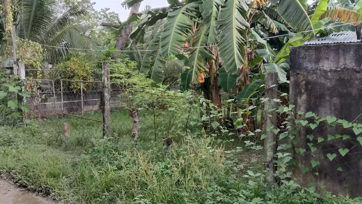 Titled Lot for Sale  - photo 3