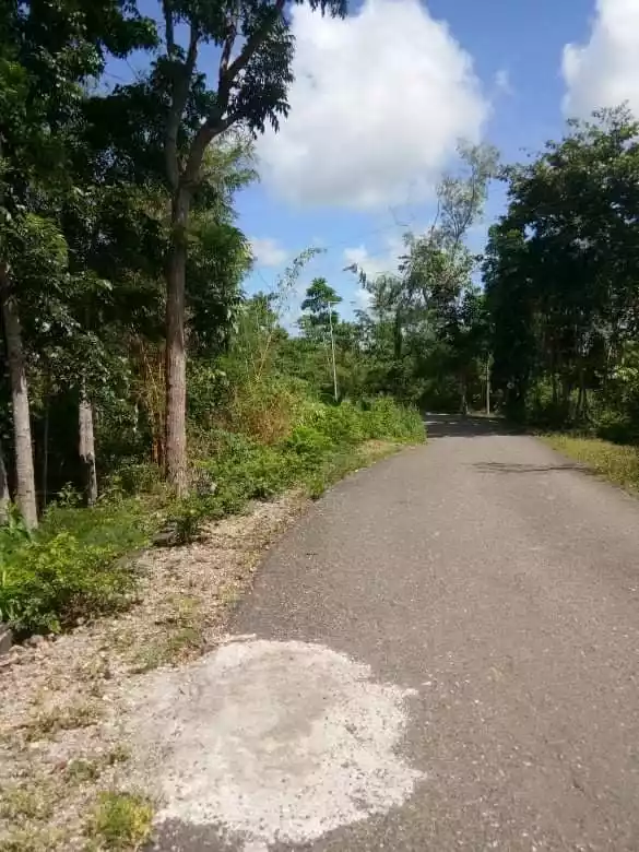 Farm Lot for Sale - photo 2