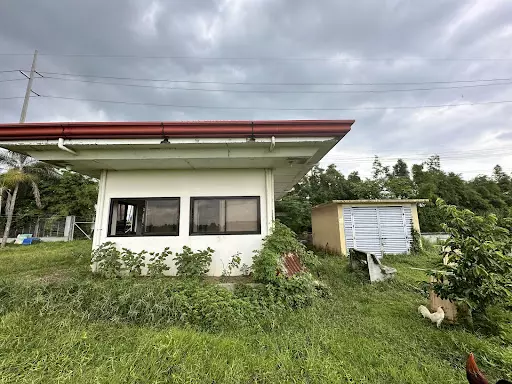 Agro Industrial Lot For Sale — Agricultural Lot in Laguna, Philippines — Photo 5