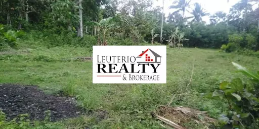 Agricultural Lot for Sale in Daraga, Albay — Agricultural Lot in Albay, Philippines — Photo 4