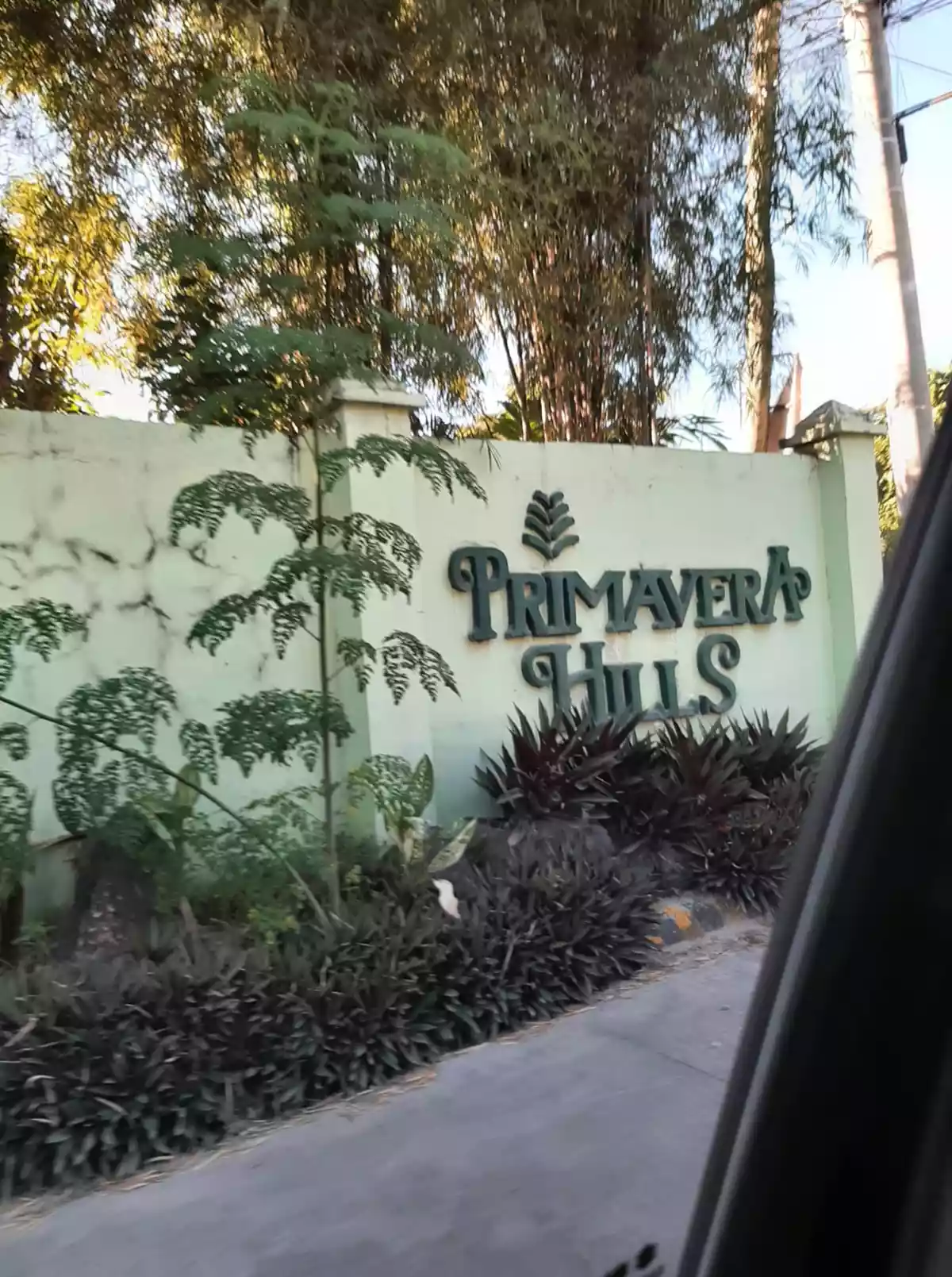 Subdivision Lot For Sale in PRIMAVERA HILLS - photo 2