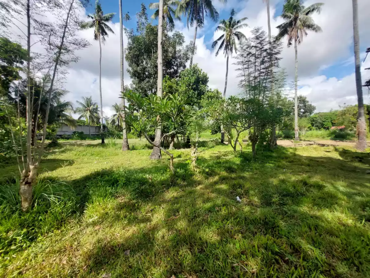 Open photo 20 of 26 — Farm Lot Convertible to Residential