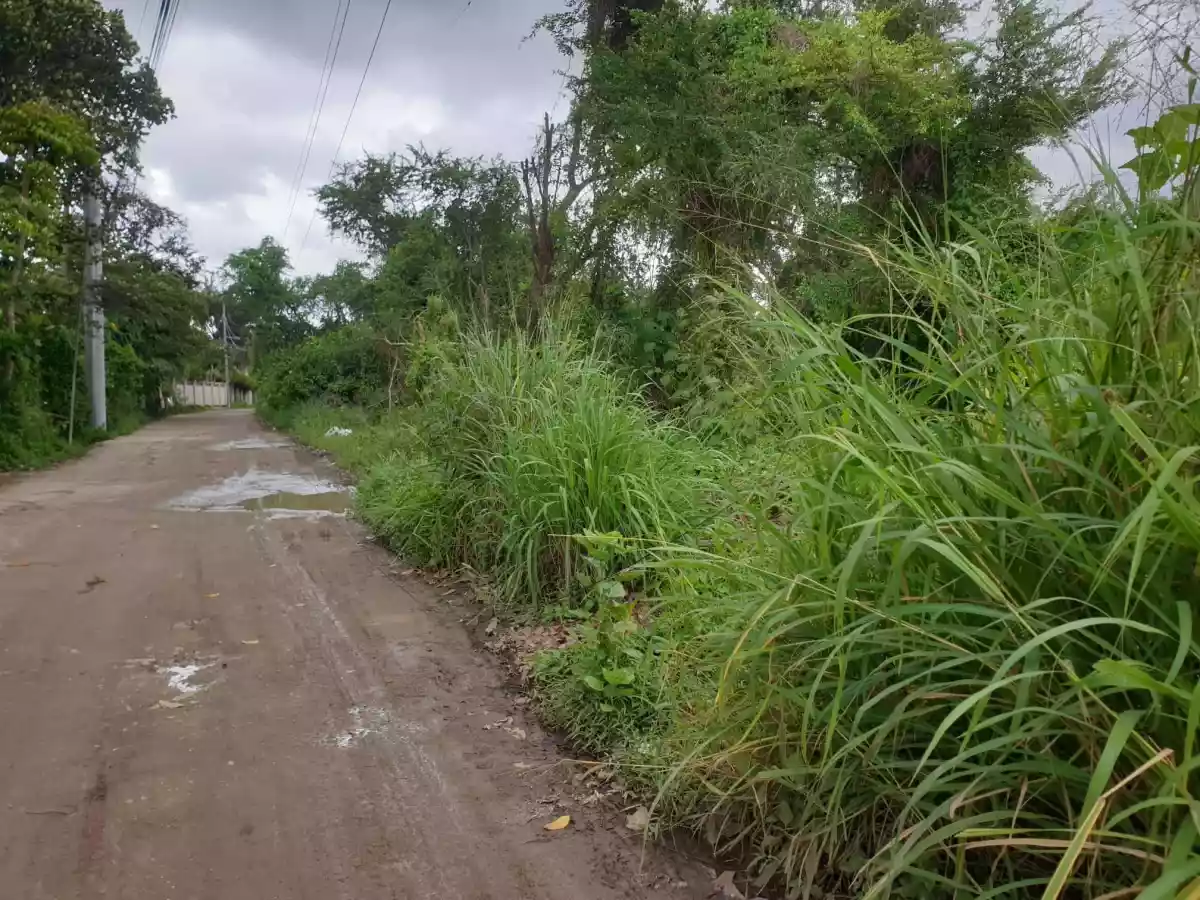 RESIDENTIAL LOT FOR SALEâ€¼ï¸ Lumiyap road, Divisoria,Zamboanga City — Residential Lot in Zamboanga del Sur, Philippines — Photo 7
