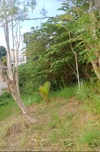 Residential Lot for Sale — Residential Lot in Talisay, Cebu, Philippines — Photo 4
