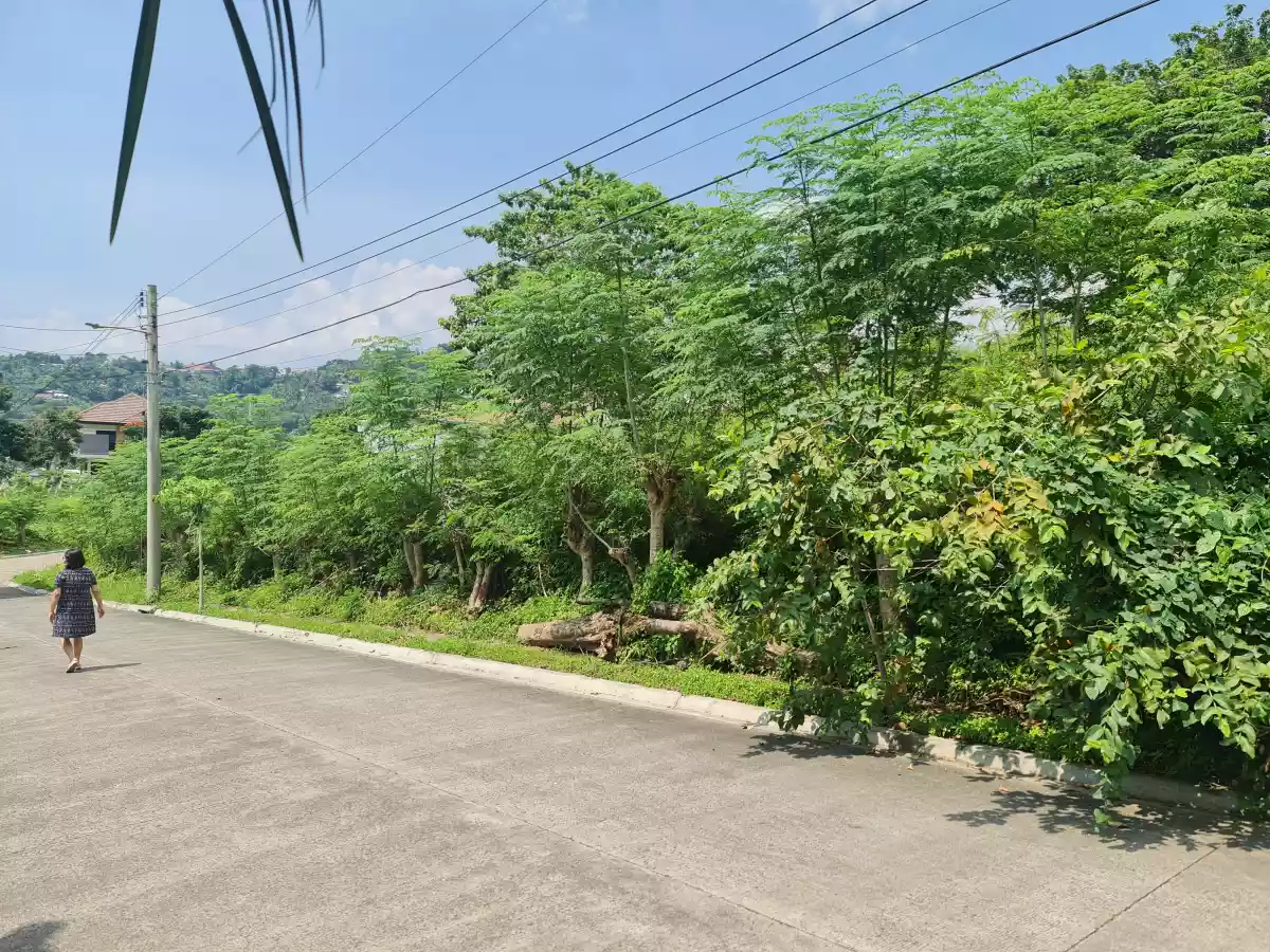 Kishanta Lot for Sale — Residential Lot in Talisay, Cebu, Philippines — Photo 5