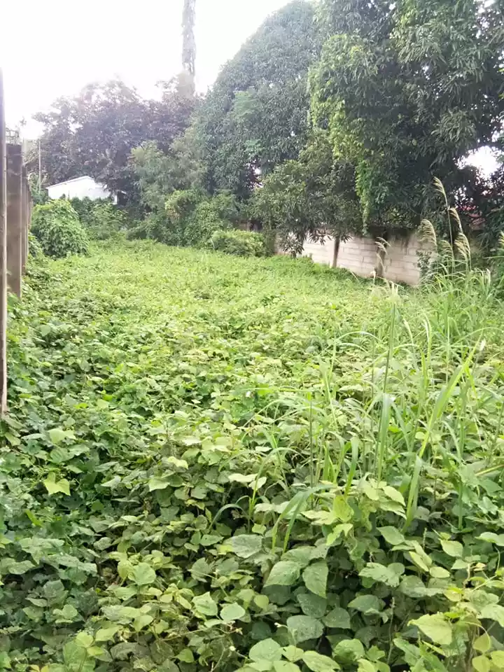 Along National Road Residential Lot — Residential Lot in Negros Oriental, Philippines — Photo 3