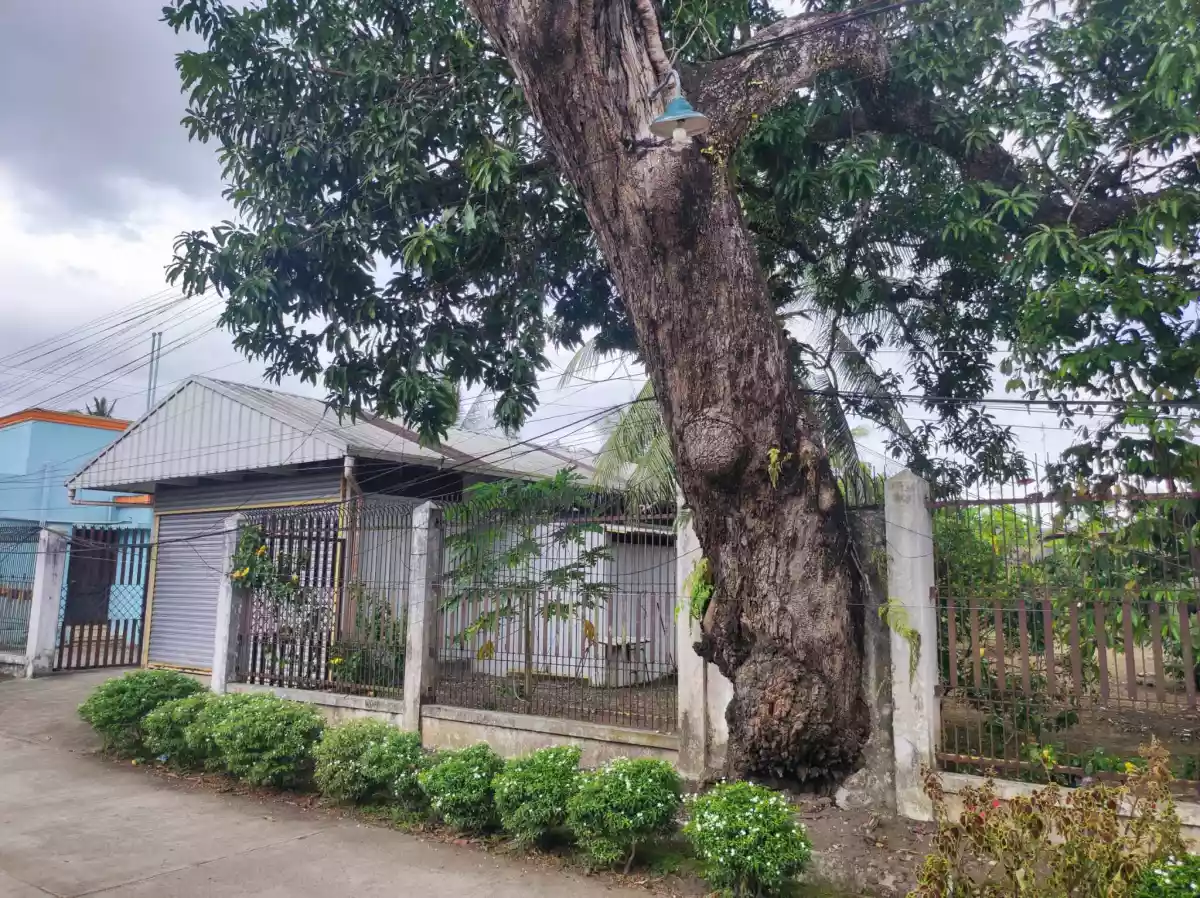 House and Lot for SALE — House and Lot in Kabankalan, Negros Occidental, Philippines — Photo 6