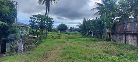 Lot for Sale Ideal for Warehouse or Factory — Commercial Lot in Cebu, Philippines — Photo 5