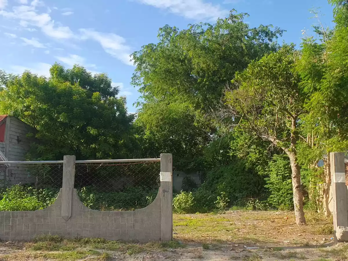 300 sqm Lot for Sale — Residential Lot in calumpang, general santos city — Photo 3