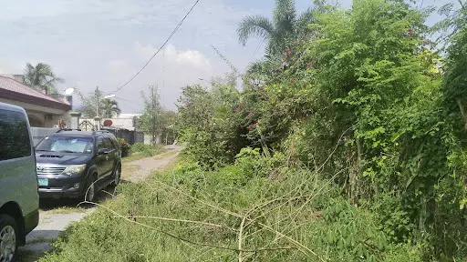 Open photo 17 of 21 — 2 Lots for Sale in Lacap Subd., Gensan