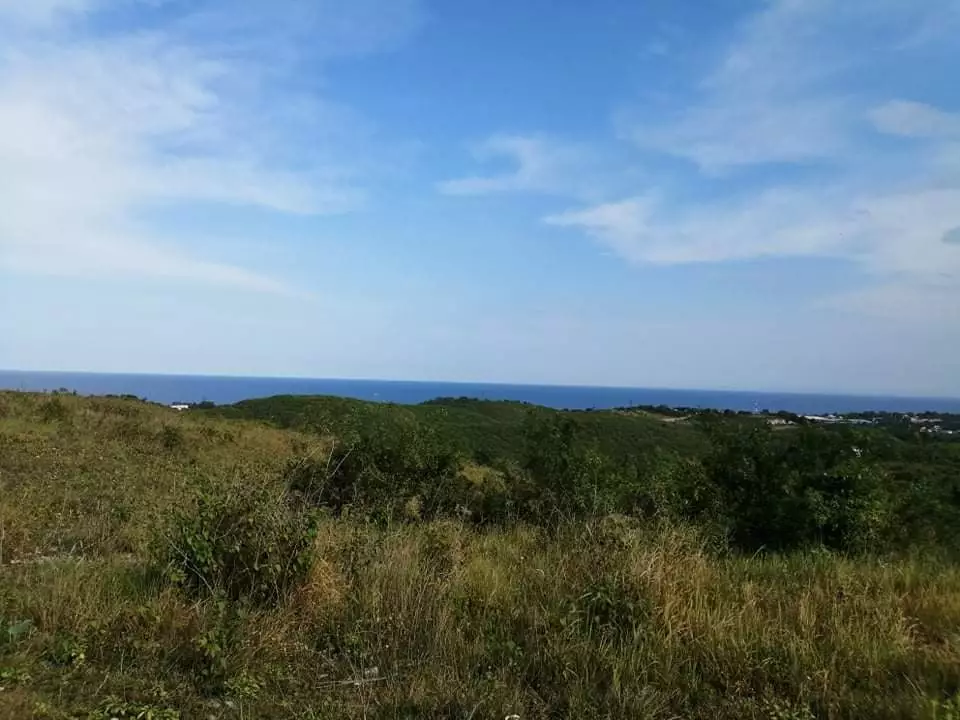 Overlooking lot for sale in danao  - photo 7