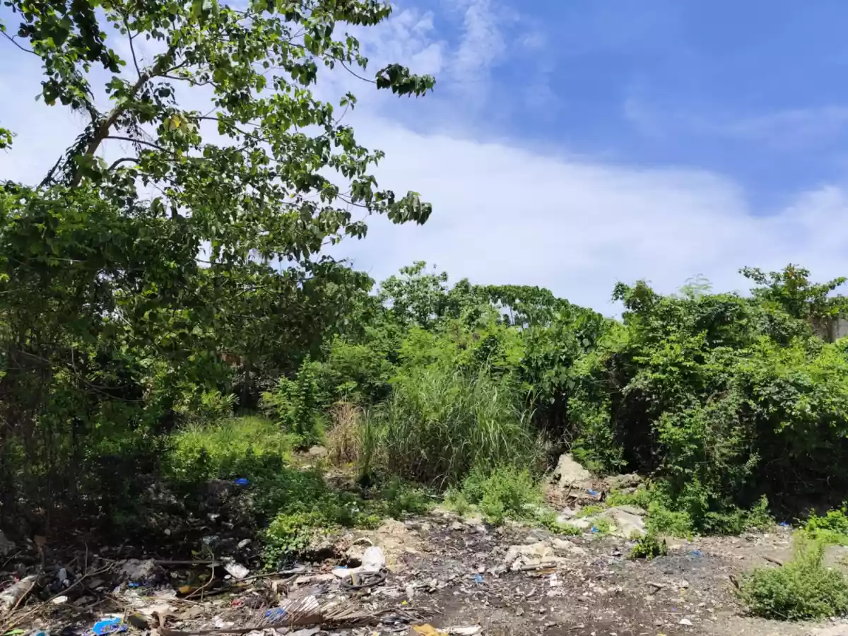 For Sale Lot near CCLX 4583sqm with Titles - photo 2